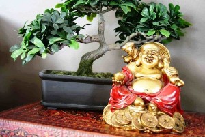 Την ευτυχία και την ευημερία στο σπίτι σας σύμφωνα με το feng shui