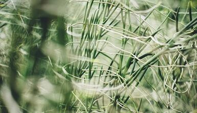 Πώς να φτιάξετε ένα φυλαχτό καλής τύχης με τα χέρια σας