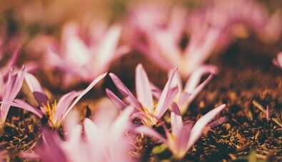 πώς να φτιάξετε ένα φυλαχτό καλής τύχης με τα χέρια σας